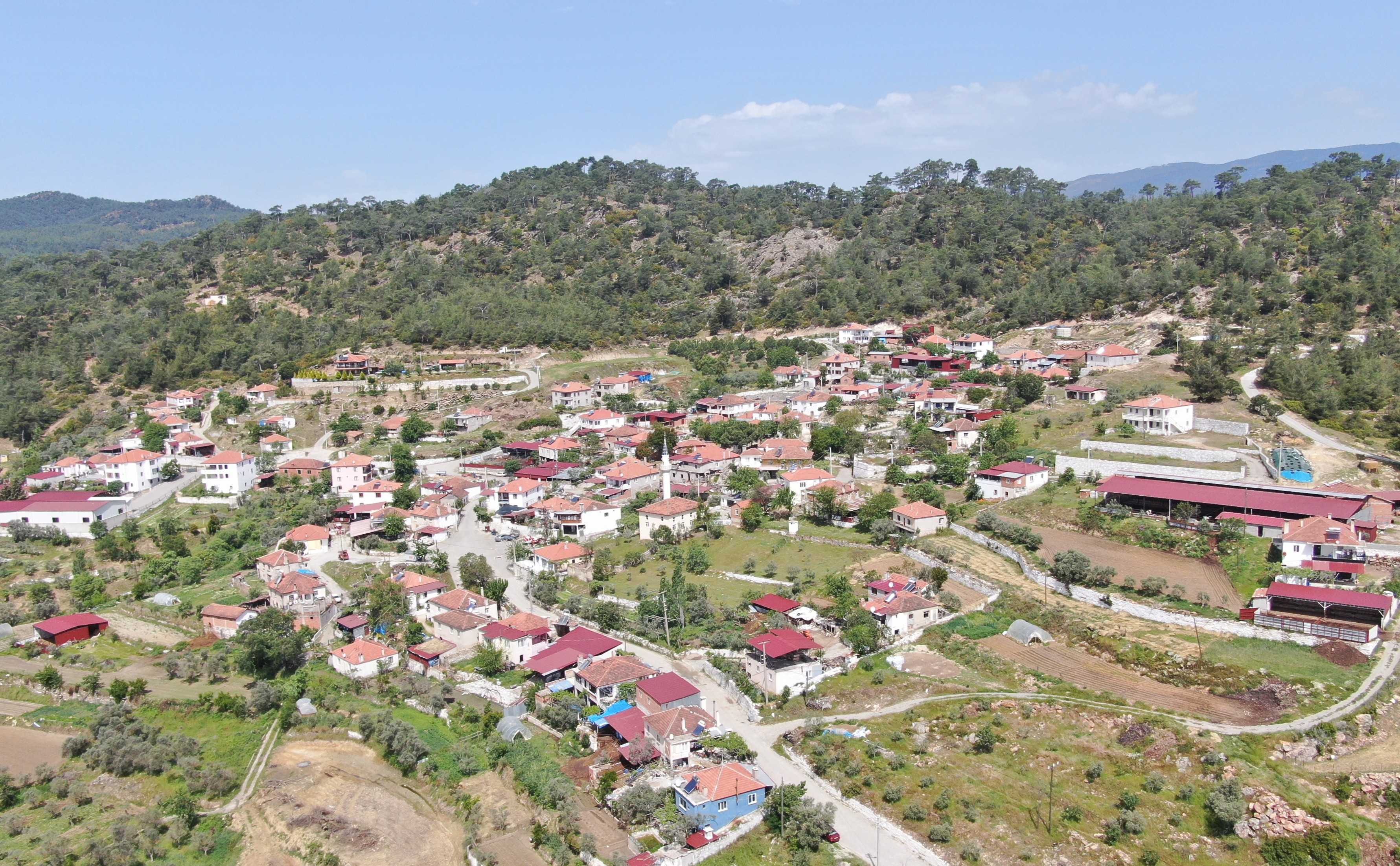 YEŞİLKÖY MAHALLESİ